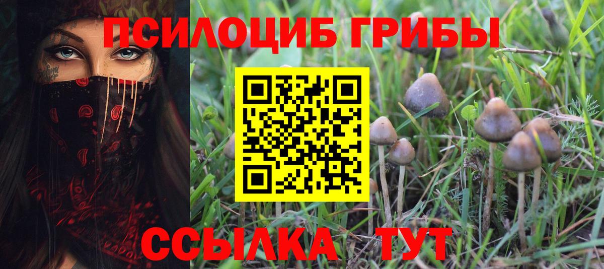 Псилоцибиновые грибы MAGIC MUSHROOMS  Вход с VPN  Псилоцибиновые грибы мухоморы  Чайковский 